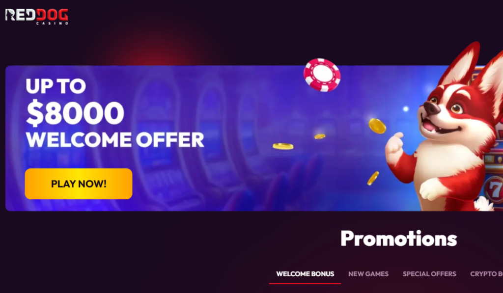 The {best/top-rated/leading} real money online casinos in the USA include BetWhale, Lucky Rebel, Sloto Cash, Red Dog Casino, and Bets.io.