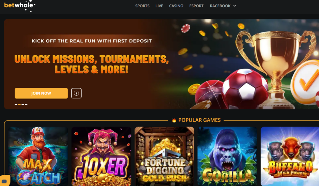 {Fast Payout Casinos USA/Quick Withdrawal Casinos USA/Instant Payout Casinos USA} - {Betwhale/Lucky rebel/Thunderpick/bets.io}